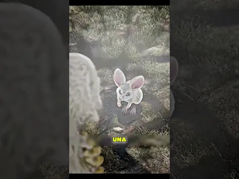 "El pájaro con pico de piedra"#shorts