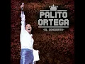 Un Muchacho Como Yo (Live)