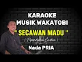 Lagu KARAOKE DANGDUT WAKATOBI - SECAWAN MADU - NADA PRIA - CRISTINA