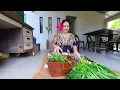 Lagu Masak Untuk Suamiku Di Kebun. Abg Sibuk Hari Ni. 