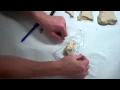 Understanding Topographic Maps