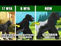 Silverback Gorilla Origin Evolution Who Were Gorilla s Ancestors