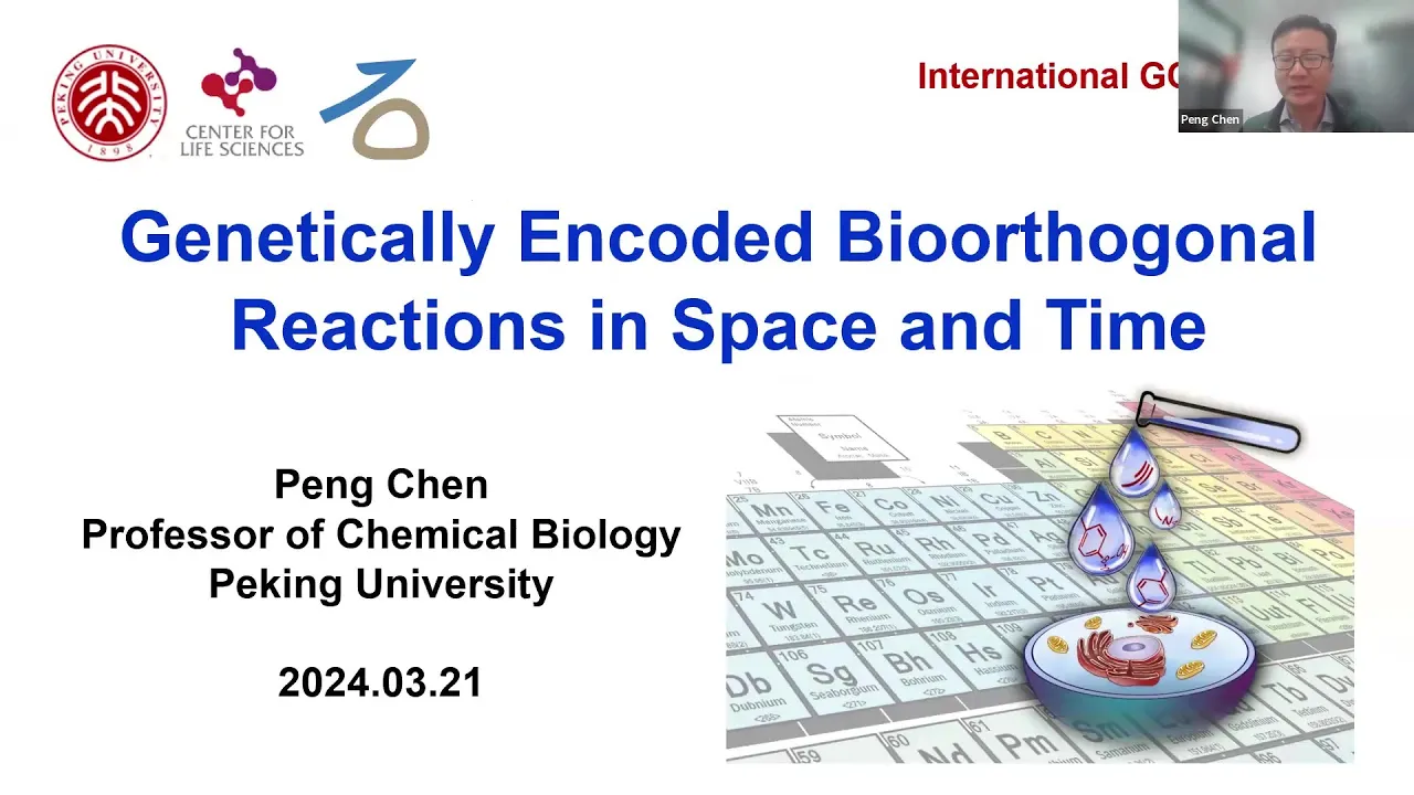 Genetically Encoded Bioorthogonal Chemistry in Living Systems