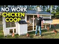 EASY Low Maintenance CHICKEN COOP Automatic Food and Water