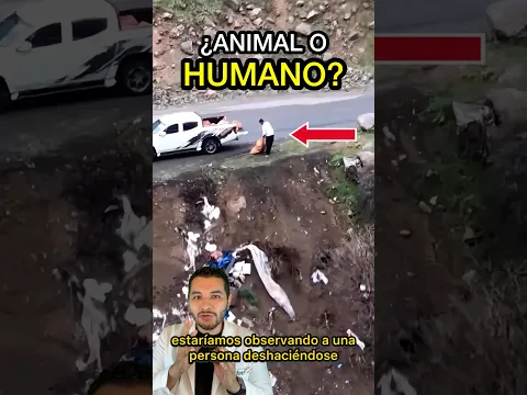 ¿ANIMAL L HUMANO? 😱