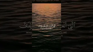 حالات واتس قرآن القارئ اسلام صبحي 