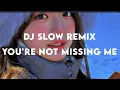Download Lagu DJ SLOW REMIX you're not missing me (lyrics)