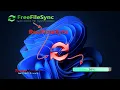 Backup File e Cartelle automatico con RealTimeSync funzionalita di FreeFileSync