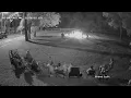 Home Fireworks GONE