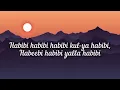 Habibi Drip Lyrics -Song |Dabzee|Ribin Richard|