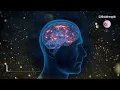 Deep Sleep Alpha Waves｜3 Hours of Brain Healing & Stress Relief Music｜EydisMeditationMusic