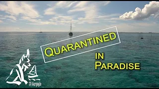Quarantined in Paradise Ep.43