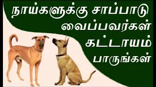நாய்களுக்கு சாப்பாடு வைபவர்கள் கட்டாயம் பாருங்கள் | food to dogs | namma bhoomi namma samy