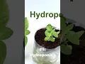 10 Best 6th Grade Science Projects