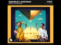 Gold (Tobtok Remix) - Sam Feldt & Kate Ryan