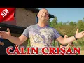 Download Lagu Calin Crisan - Cand ai bani atunci esti bun - Colaj nou 2023