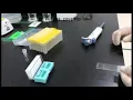 Fast FISH Probe Protocol Manual