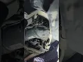 chevy cruze coolant temperature sensor replacement