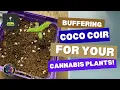 Preparing Coco Coir for Indoor Plants How to Rinse Buffer Mix with Perlite