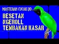 Lagu Masteran cucak ijo full isian menaikan emosi dan tembak an panjang bongkar materi