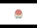 Cellular Adaptation - hyperplasia, hypertrophy, atrophy and metaplasia + cell injury