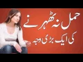 Download Hamal Na Thehrnay Ke Waja | Hamal Zaya Q Hota Hai | Health Benifits for Pregnancy in Urdu / Hindi mp4 3gp mp3 videos - waplic