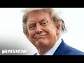 Roller coaster to election hell Steele rips Trump s simplistic stupidity amid voter threats