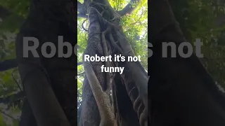 It’s not funny #youtubeshorts #shorts #lol #fyp