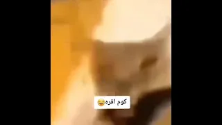 قوم اقرا ههههههه دندنها