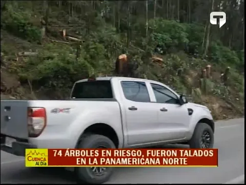 74 árboles en riesgo fueron talados en la Panamericana Norte