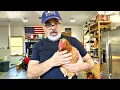 How to care for an egg-bound chicken Lila the hen is egg bound