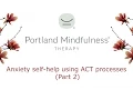 Anxiety self-help using Acceptance and Commitment Therapy Part 2