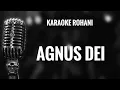 Download Lagu Karaoke Rohani - AGNUS DEI