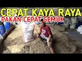 Download Lagu CARA BUAT PAKAN KAMBING MUDAH DAN RINGAN