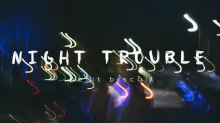 petit biscuit night trouble