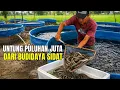 Lagu Bisa Dicoba Budidaya Sidat Di Lahan Sempit, Untung Bisa Puluhan Juta