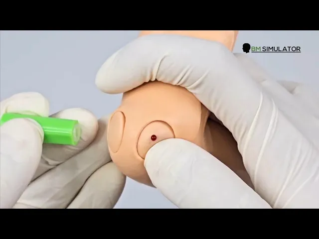 P077 หุ่นฝึกการเจาะส้นเท้าทารก (แบบมีเลือด) / Infant Heel Simulator