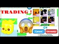 TRADING MY GOLD HUGE SUPER CORGI 4 8 T VALUE PET SIMULATOR X