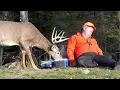 Download Lagu One in a Billion Wild Animal Moments Caught on Camera  😂