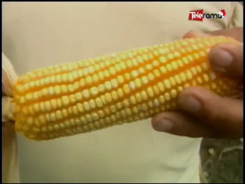 Ecuador Agropecuario 02-01-2018