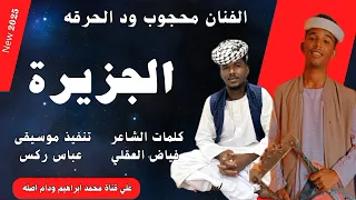 الجزيرة الفنان محجوب ود الحرقه New 2025 