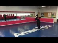 AmeriKick Little Dragon