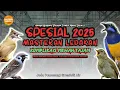 Download Lagu Masteran Burung Spesial Ledakan 2025‼️ Kompilasi Mewah Cendet \u0026 Cucak Ijo Full Tembakan Gacor