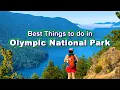 Best Things To Do Olympic National Park Ultimate Washington Travel Guide