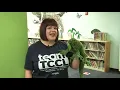 Tulsa City-County Library s 2021 children s summer reading program begins June 1