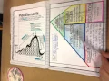 Interactive Notebook