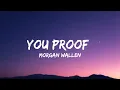 Morgan Wallen - You Proof