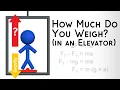 Calculate Normal Force Scale Reading in an Elevator Apparent Weight vs Gravity