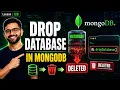 How to Delete a Database in MongoDB dropDatabase Command Explained