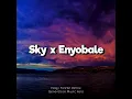 Download Lagu Sky x Enyobale | Nogy Freeze (Remix) 2023🎧